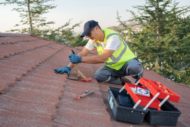 Best Roof Maintenance Services  in Gorman, NC